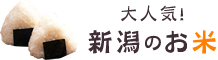 大人気！新潟のお米