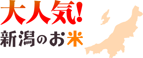 大人気!新潟のお米